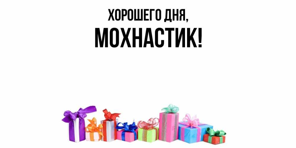 Открытка  для любимых и родных. мохнастик, Хорошего дня  