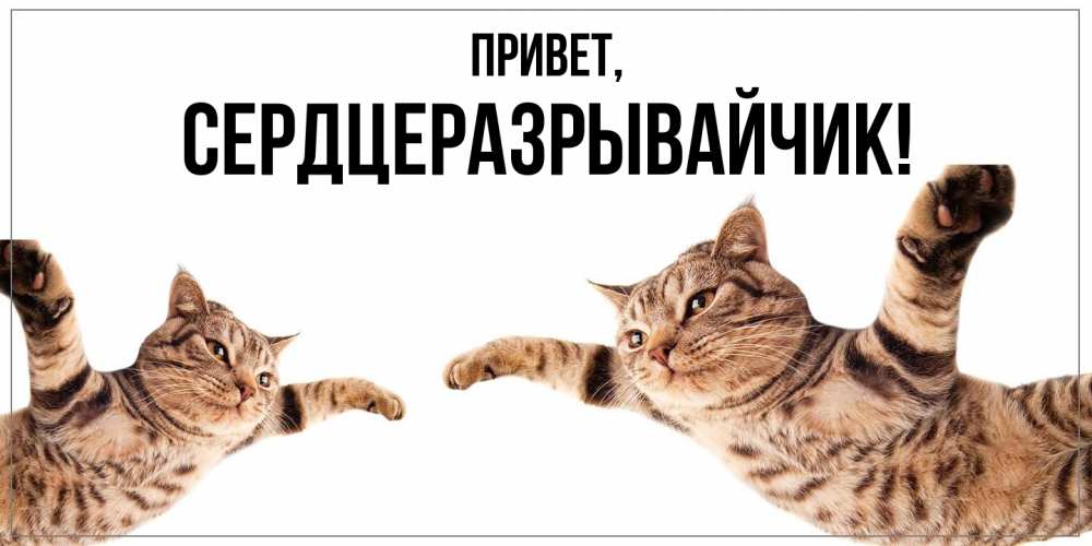 Открытка  для любимых и родных. сердцеразрывайчик, Привет  