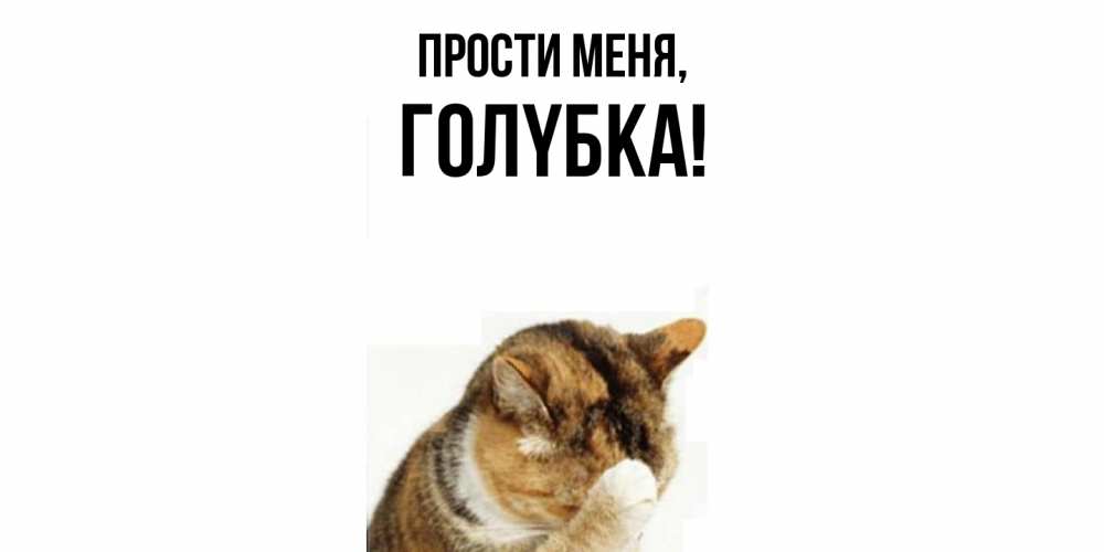 Открытка  для любимых и родных. голyбка, Прости меня  