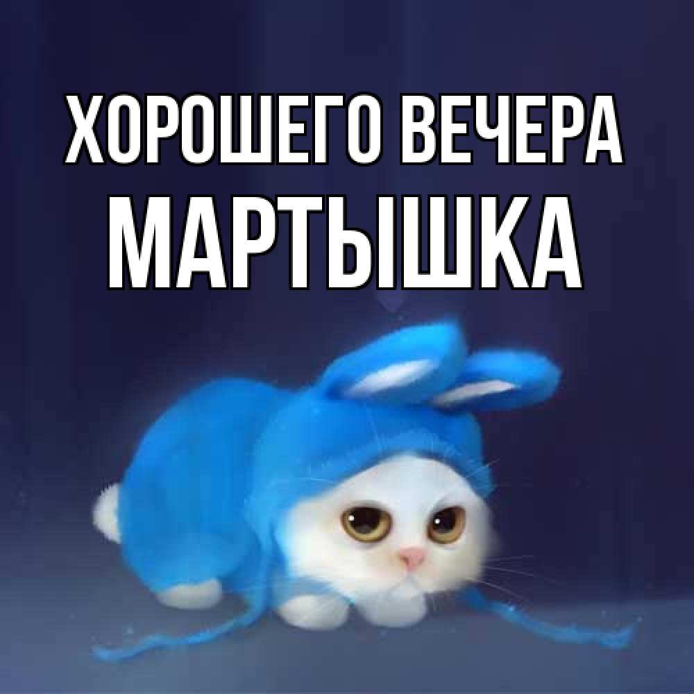 Открытка с именем, мартышка, Хорошего вечера
