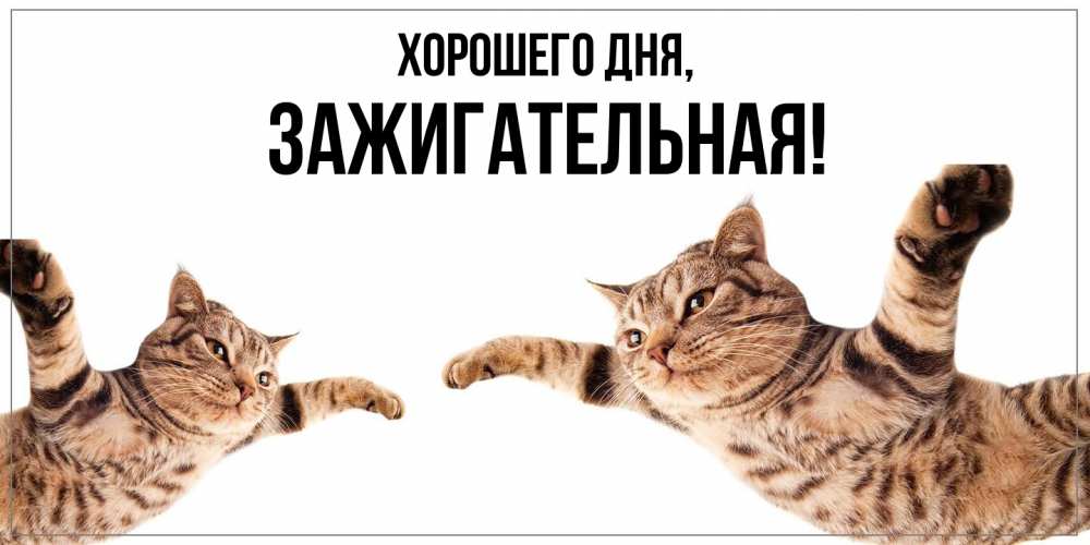 Открытка  для любимых и родных. зажигательная, Хорошего дня  