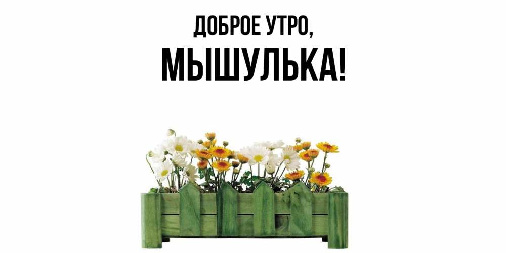 Картинка Доброе утро, мышулька
