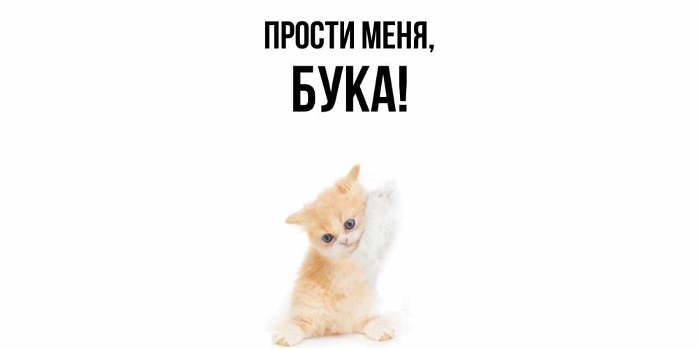 Открытка  для любимых и родных. бука, Прости меня  