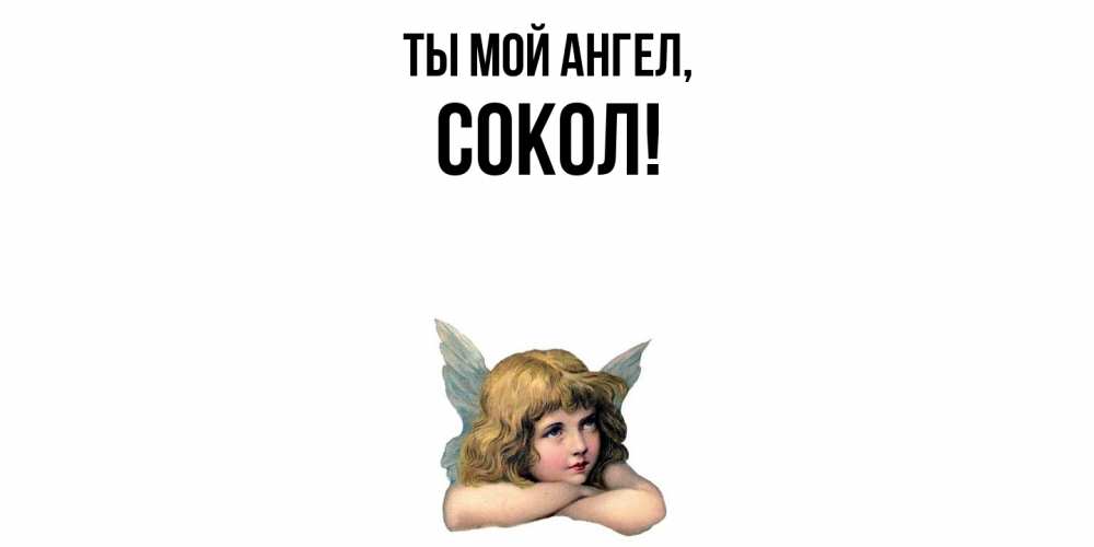 Открытка  для любимых и родных. сокол, Ты мой ангел  
