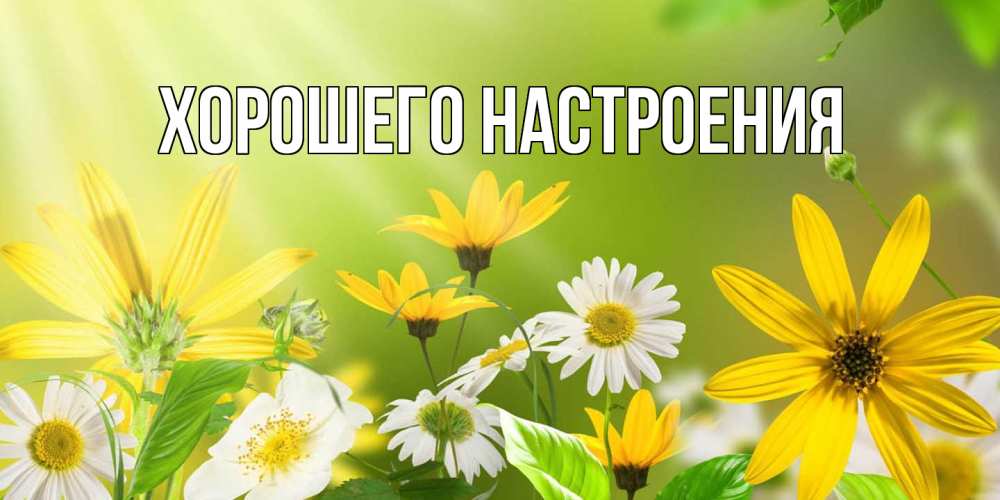 Открытка  для любимых и родных. выберите-описание, Хорошего настроения  
