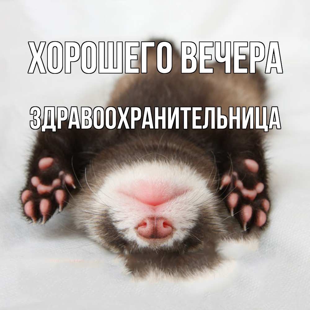 Открытка  для любимых и родных. здравоохранительница, Хорошего вечера  