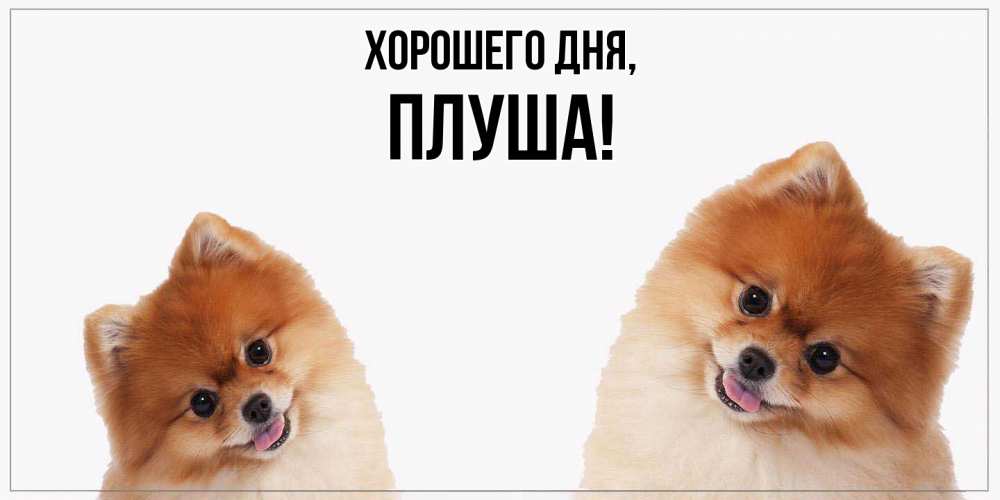 Картинка Хорошего дня, плуша