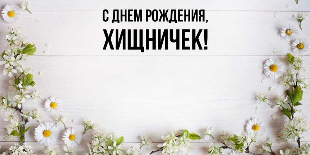 Картинка С днем рождения, хищничек