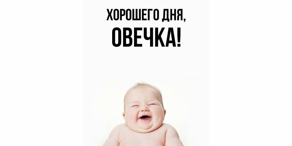 Открытка  для любимых и родных. овечка, Хорошего дня  