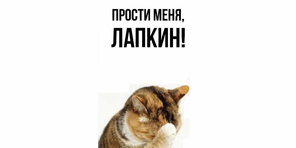 Открытка  для любимых и родных. лапкин, Прости меня  