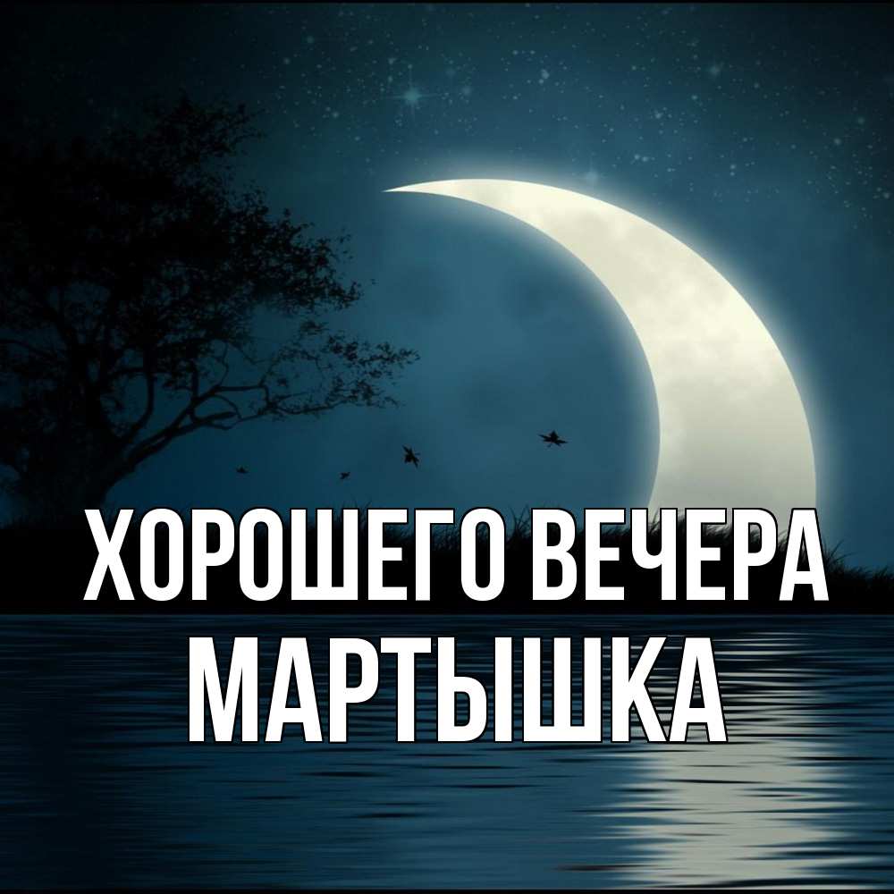 Открытка с именем, мартышка, Хорошего вечера