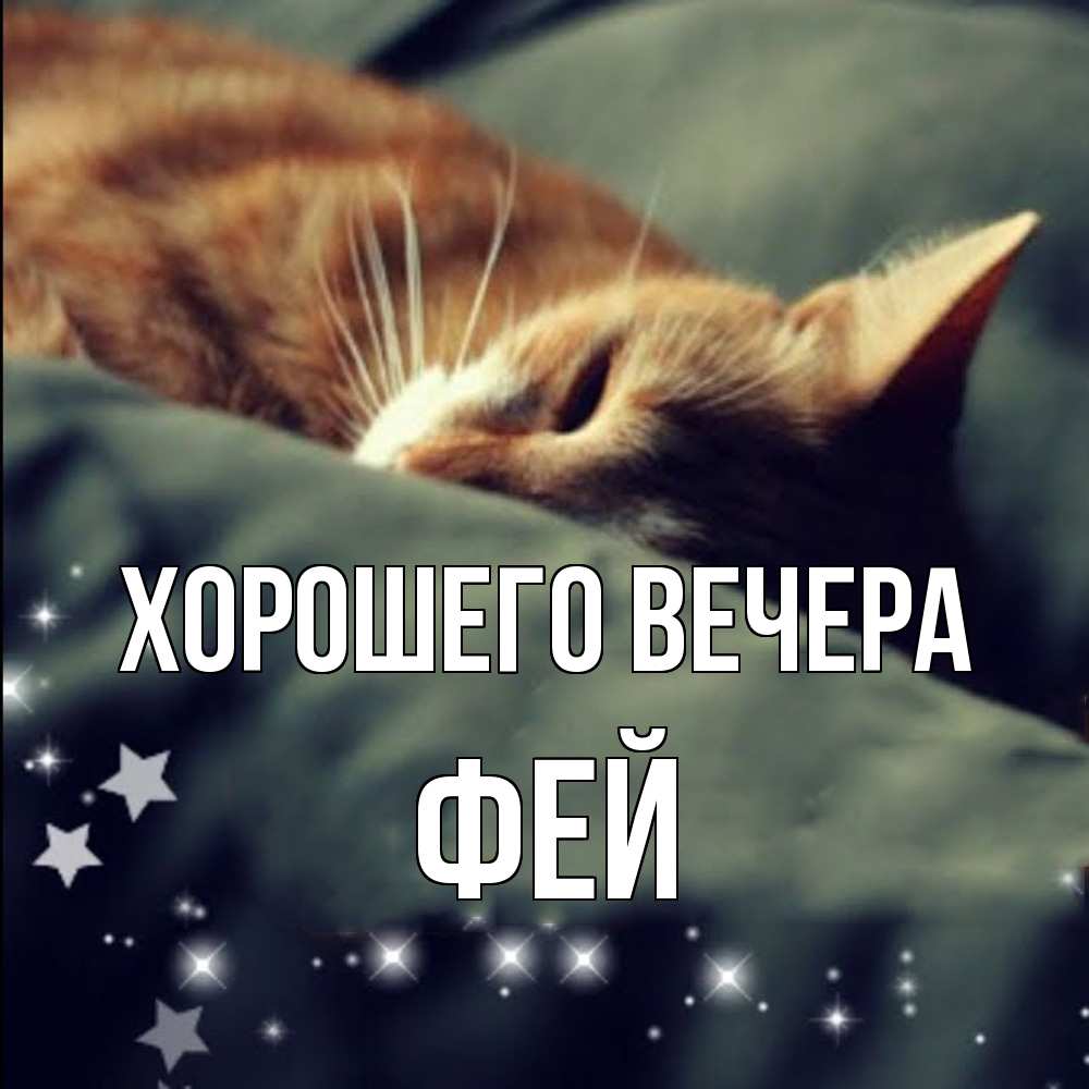 Картинка Хорошего вечера, фей