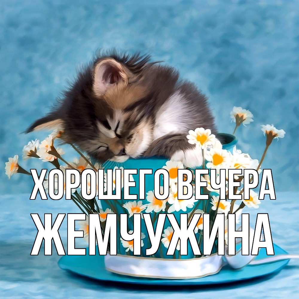 Открытка  для любимых и родных. жемчужина, Хорошего вечера  
