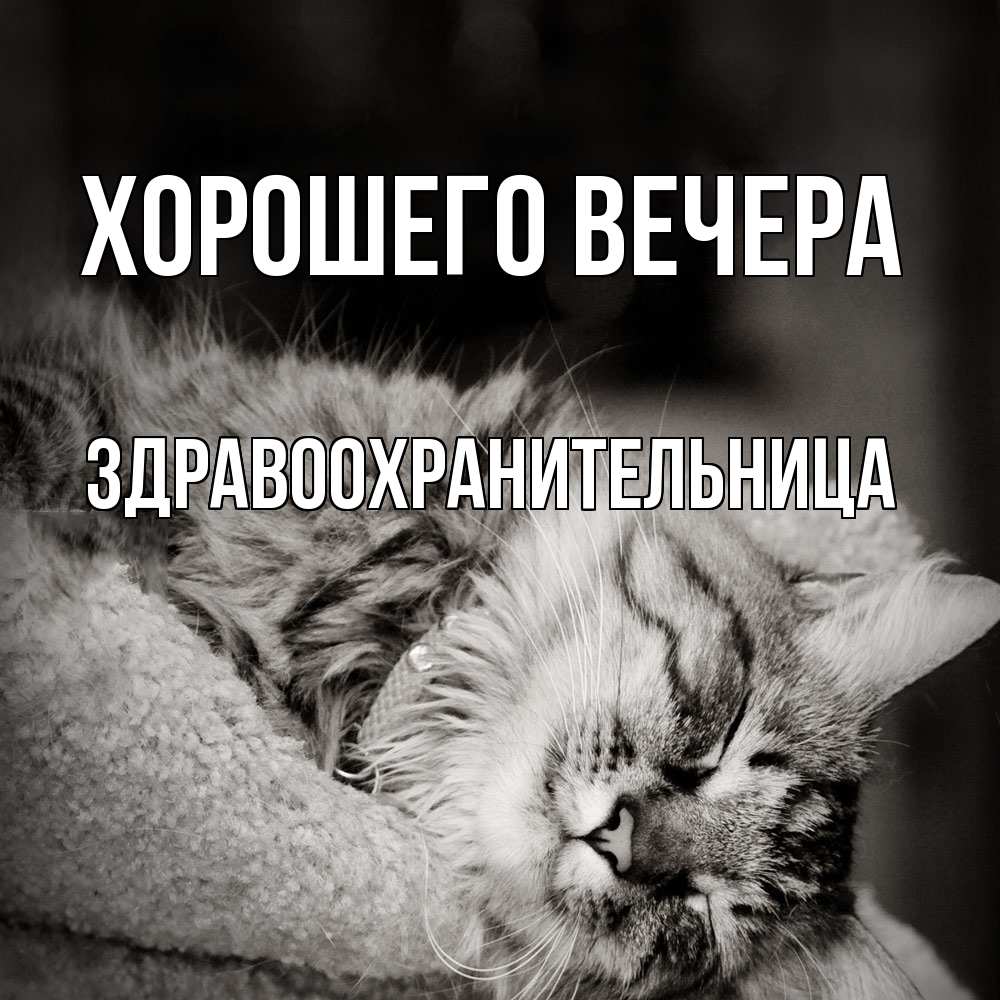 Открытка  для любимых и родных. здравоохранительница, Хорошего вечера  