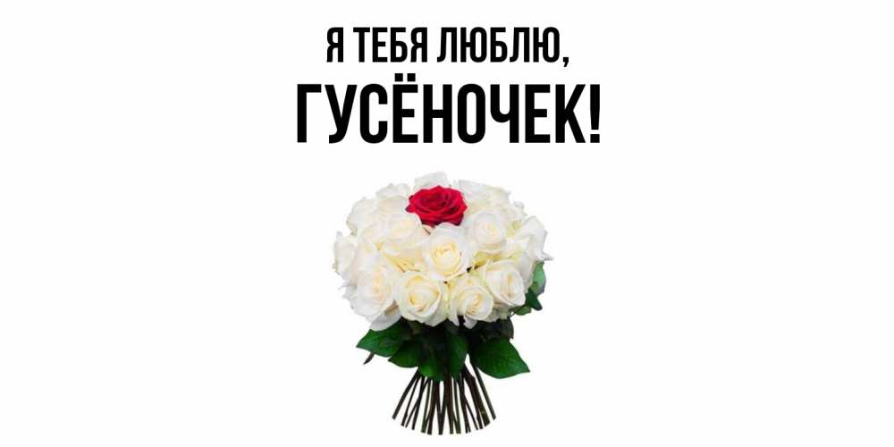 Открытка  для любимых и родных. гусёночек, Я тебя люблю  