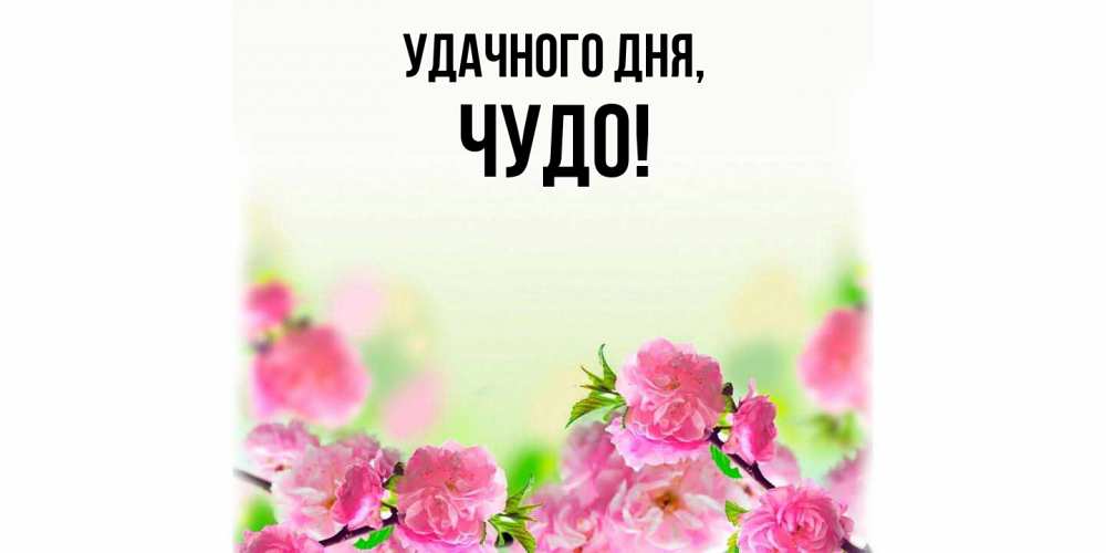Открытка с именем, чудо, Удачного дня