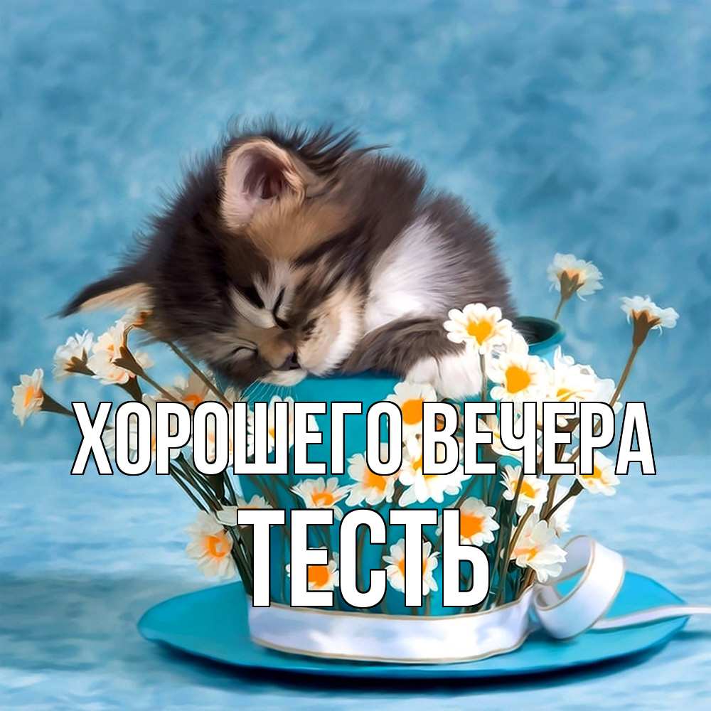 Открытка с именем, Тесть, Хорошего вечера