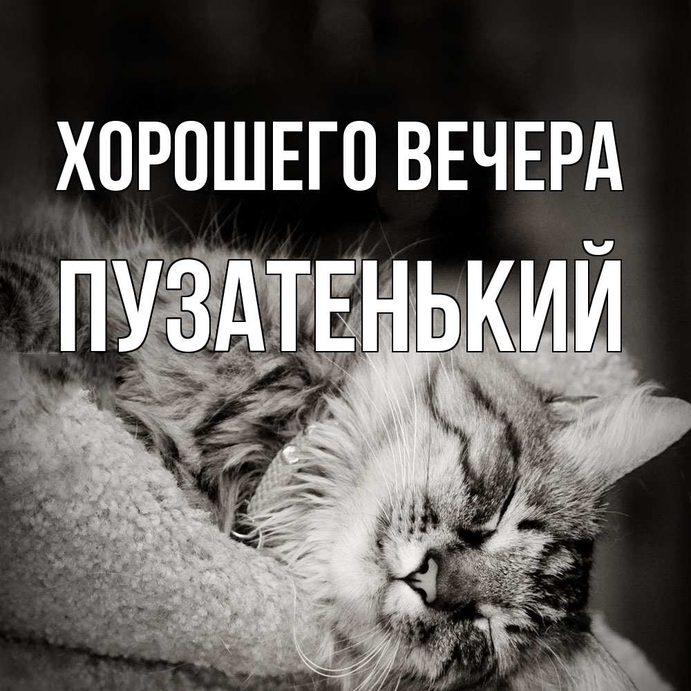 Картинка Хорошего вечера, пузатенький