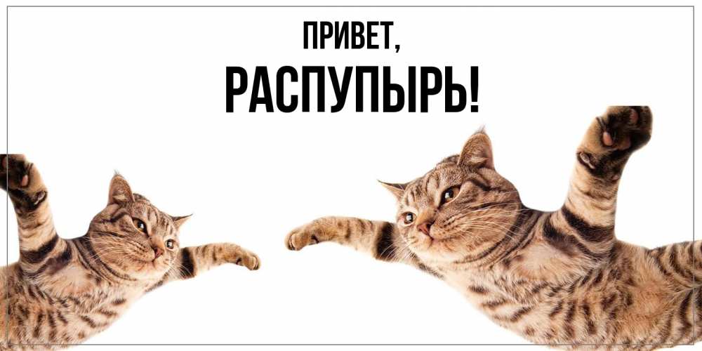 Открытка  для любимых и родных. распупырь, Привет  