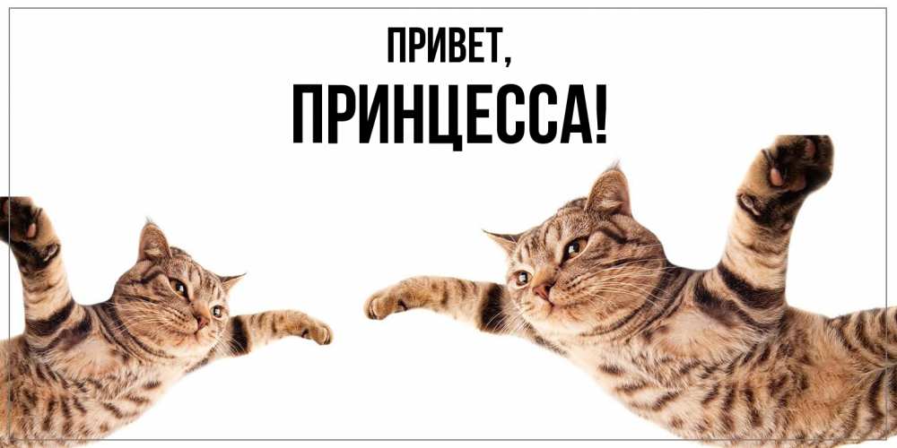 Картинка Привет, принцесса