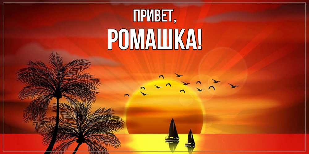 Открытка  для любимых и родных. ромашка, Привет  