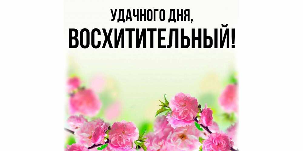 Открытка  для любимых и родных. восхитительный, Удачного дня  