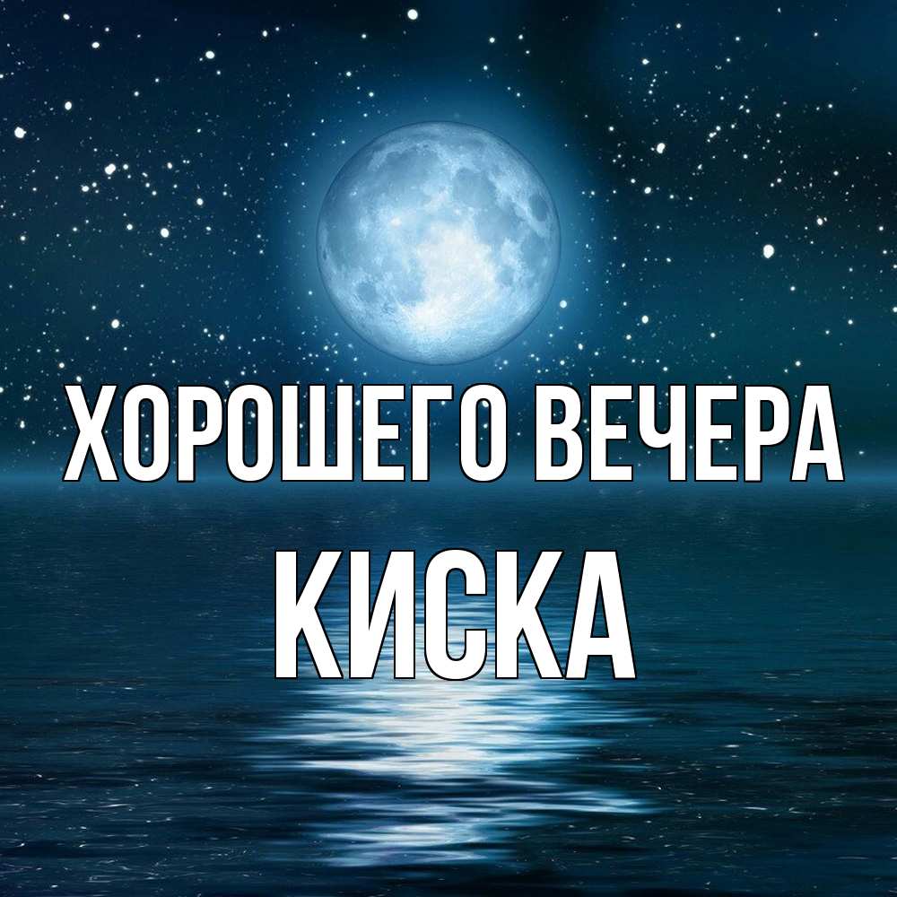 Открытка  для любимых и родных. киска, Хорошего вечера  