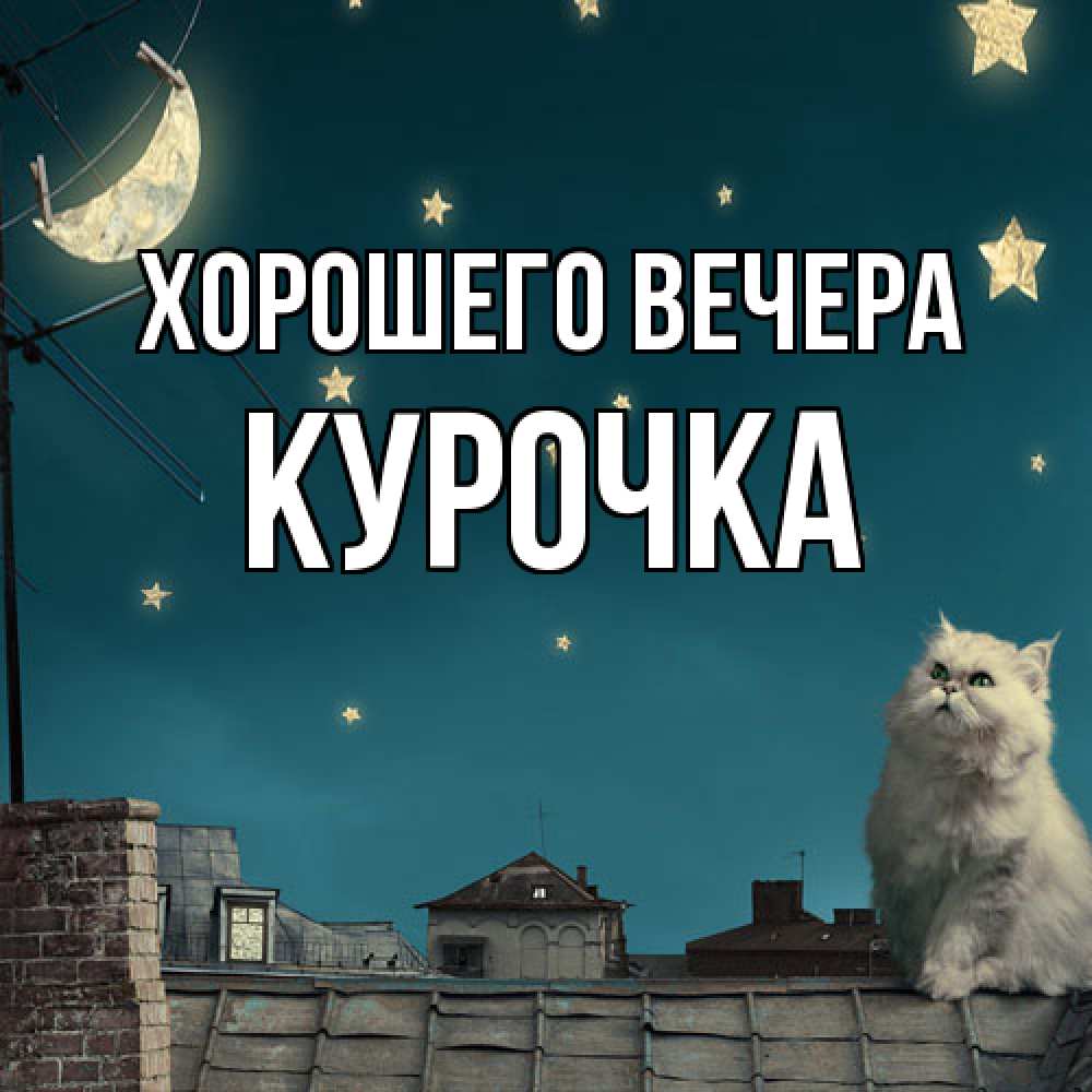Картинка Хорошего вечера, курочка