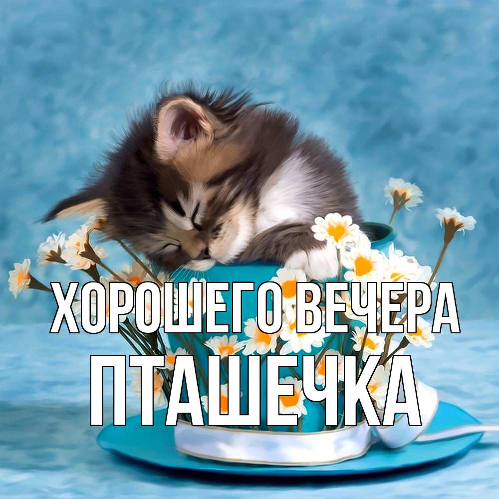 Картинка Хорошего вечера, пташечка