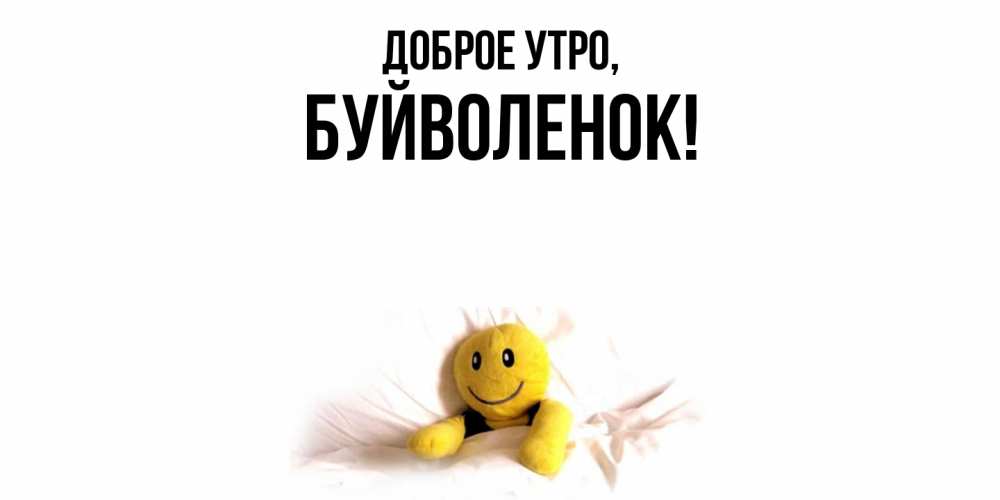 Открытка  для любимых и родных. буйволенок, Доброе утро  