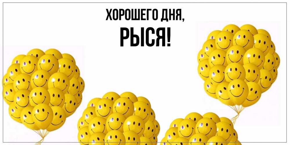 Открытка  для любимых и родных. рыся, Хорошего дня  