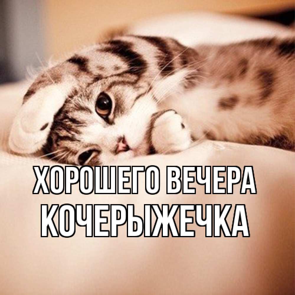 Открытка  для любимых и родных. кочерыжечка, Хорошего вечера  