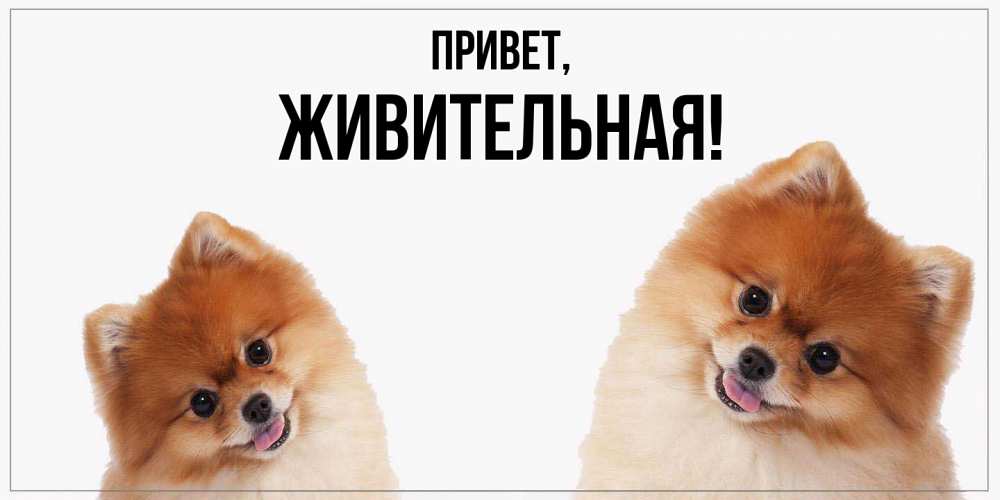 Открытка с именем, живительная, Привет