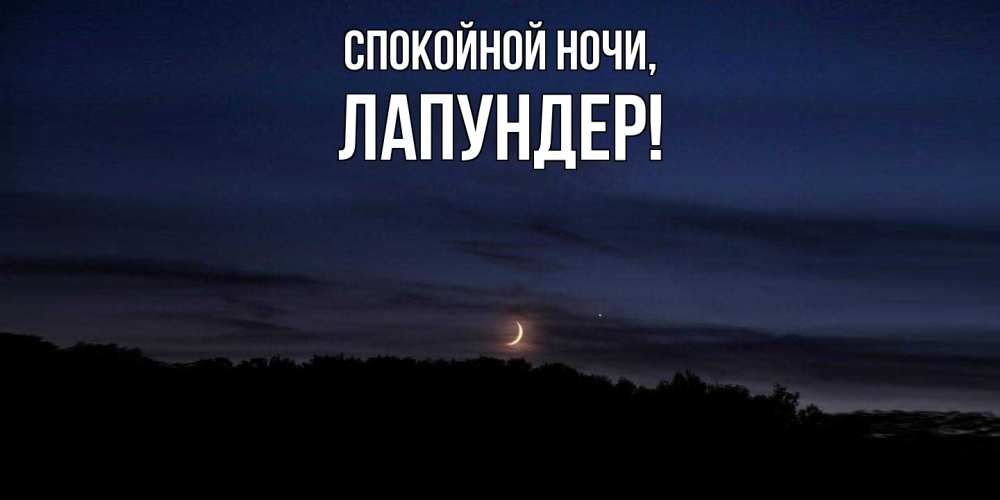Открытка  для любимых и родных. лапундер, Спокойной ночи  