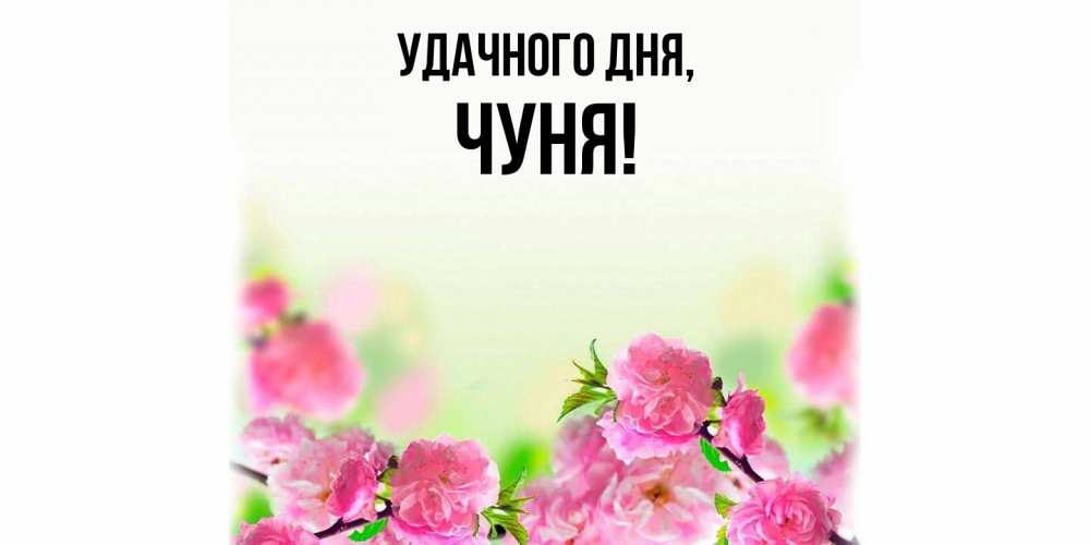 Открытка  для любимых и родных. чуня, Удачного дня  