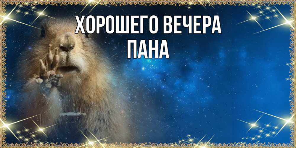 Открытка  для любимых и родных. пана, Хорошего вечера  
