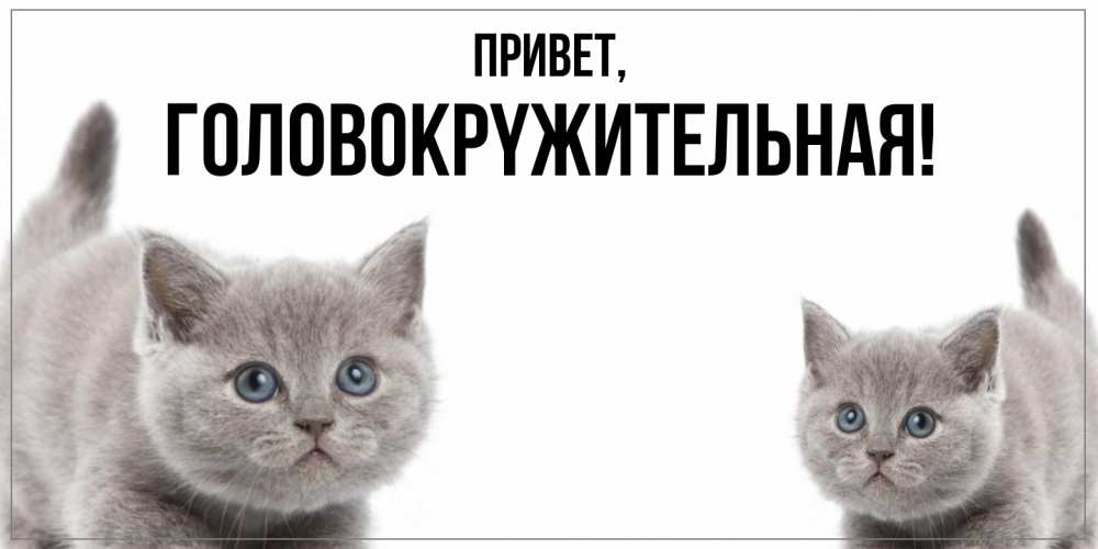 Открытка  для любимых и родных. головокpyжительная, Привет  