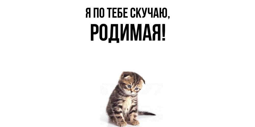 Открытка  для любимых и родных. родимая, Я по тебе скучаю  