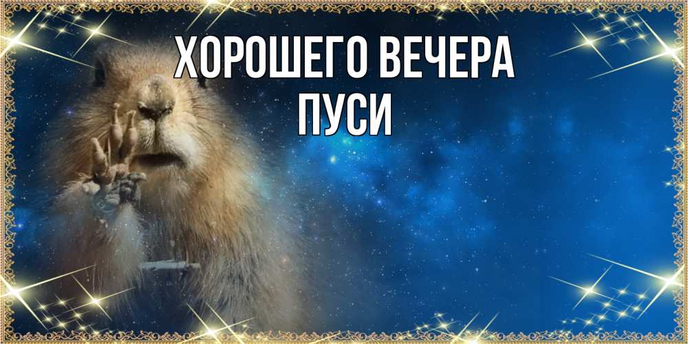 Открытка  для любимых и родных. пуси, Хорошего вечера  