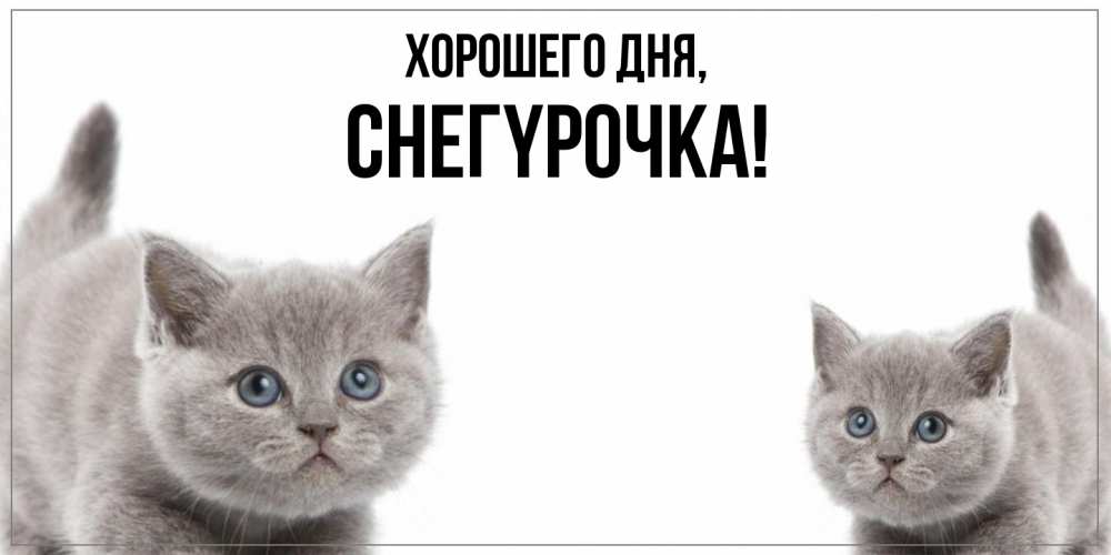 Открытка  для любимых и родных. снегypочка, Хорошего дня  