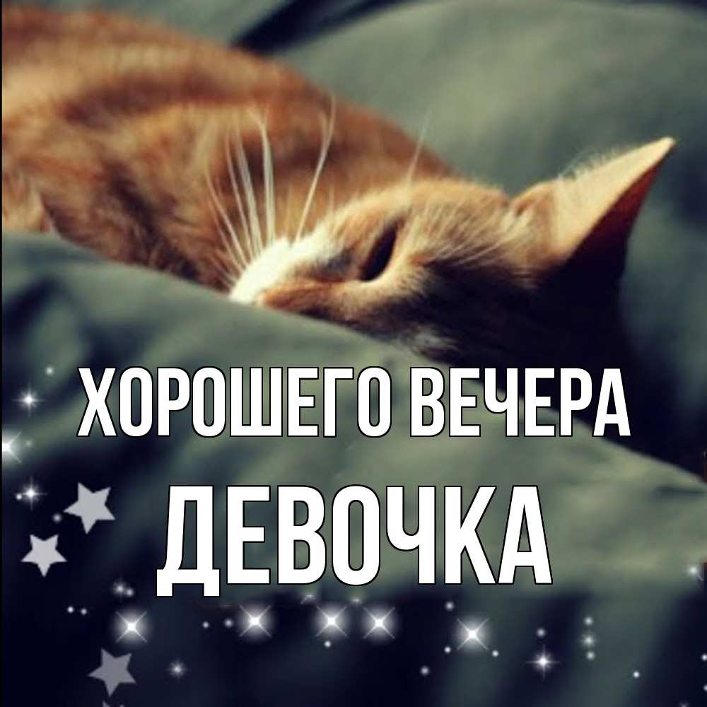 Открытка  для любимых и родных. девочка, Хорошего вечера  