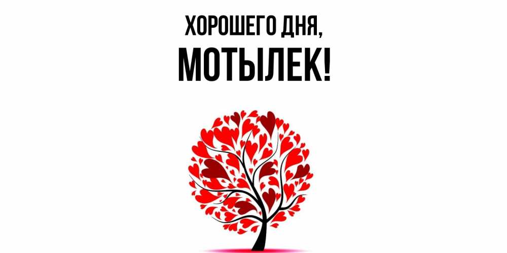 Картинка Хорошего дня, мотылек