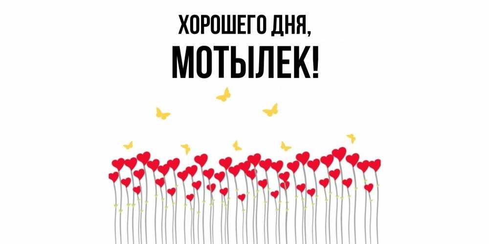 Открытка  для любимых и родных. мотылек, Хорошего дня  