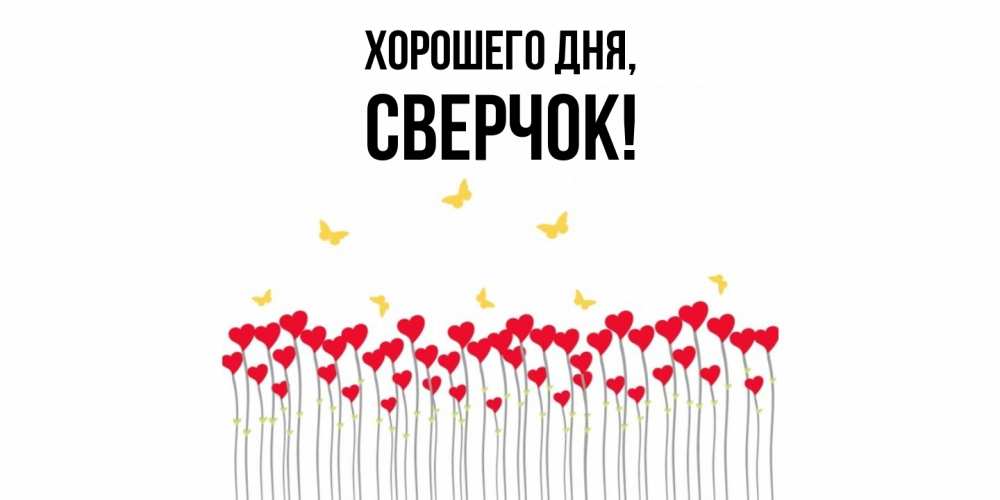 Открытка  для любимых и родных. сверчок, Хорошего дня  