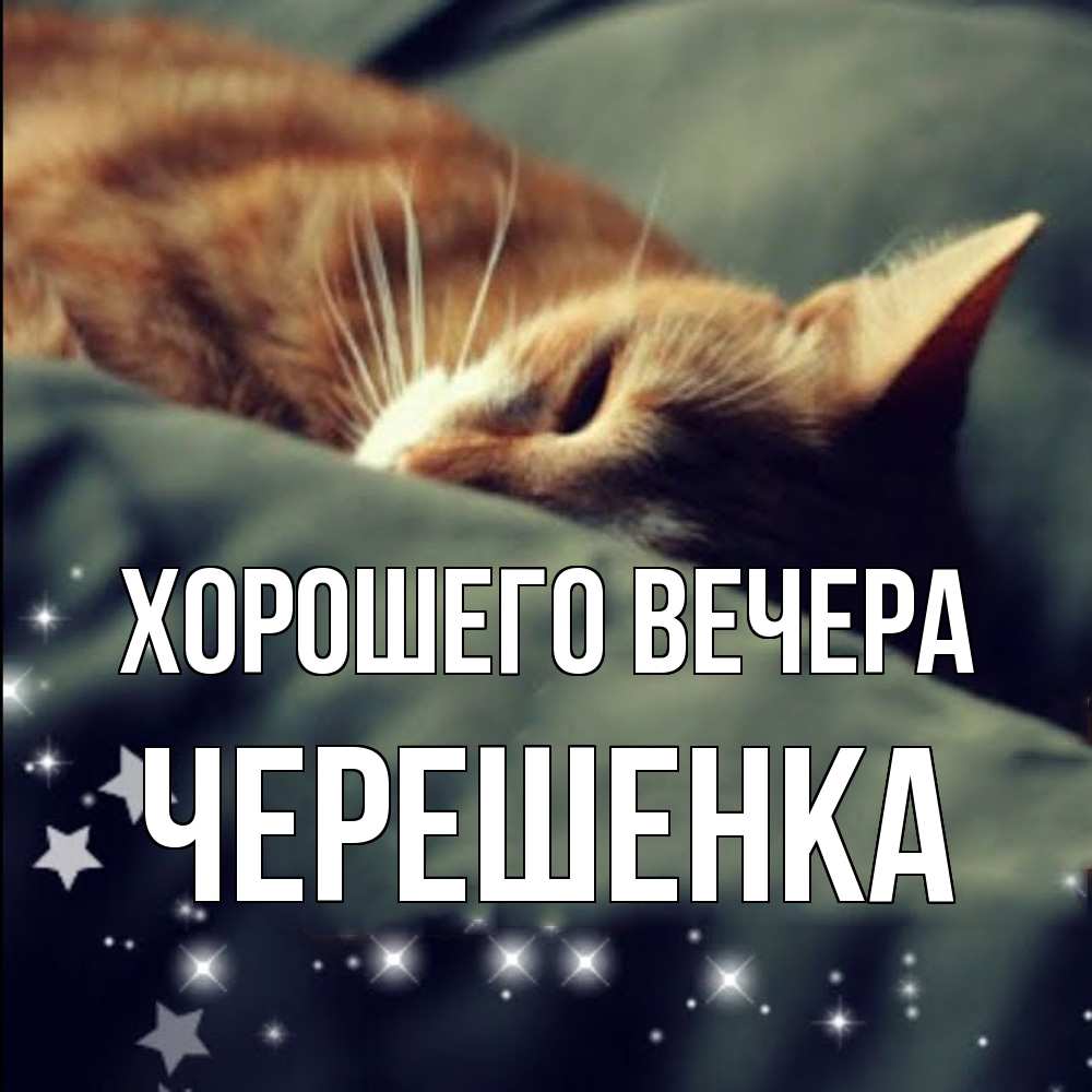 Открытка  для любимых и родных. черешенка, Хорошего вечера  