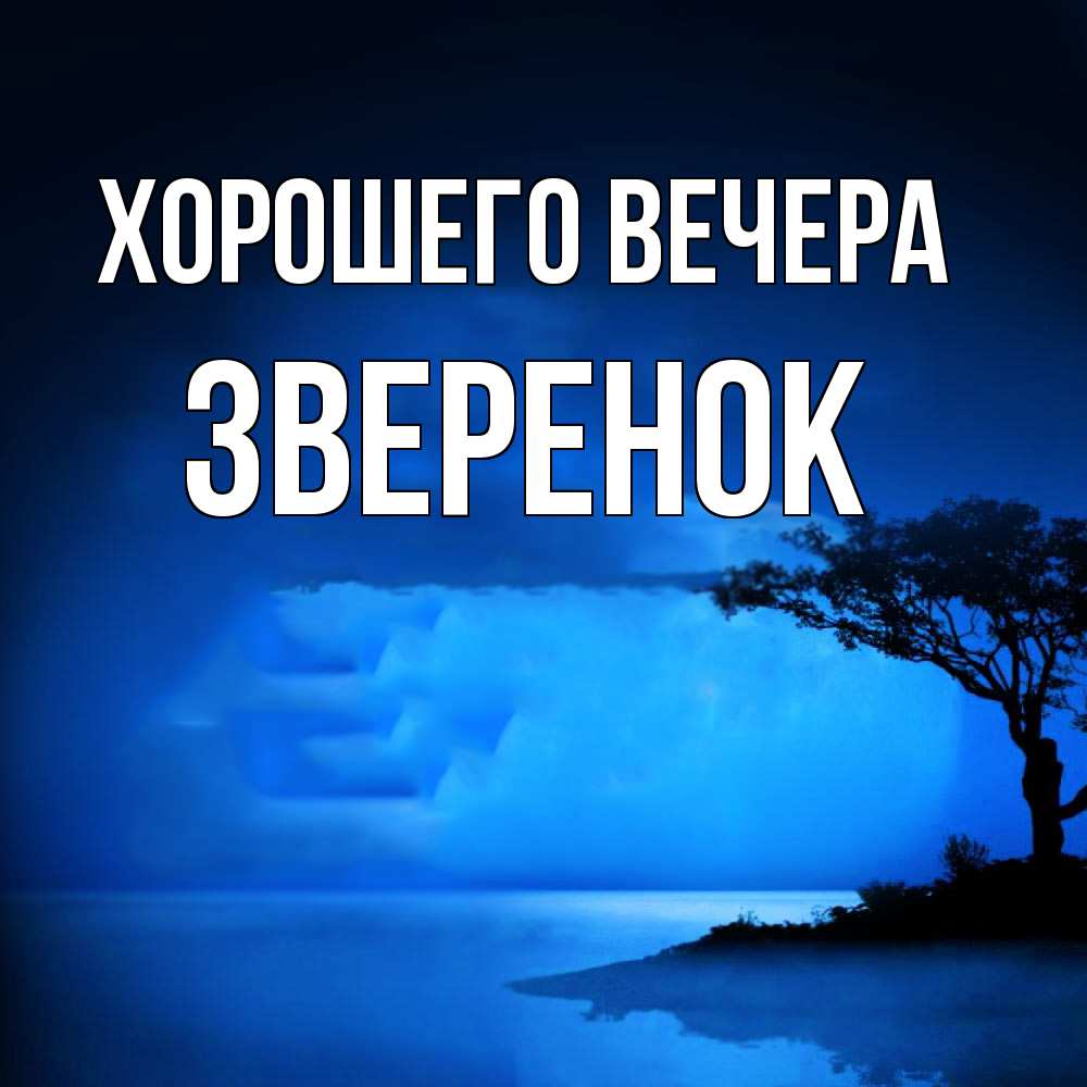 Картинка Хорошего вечера, звеpенок