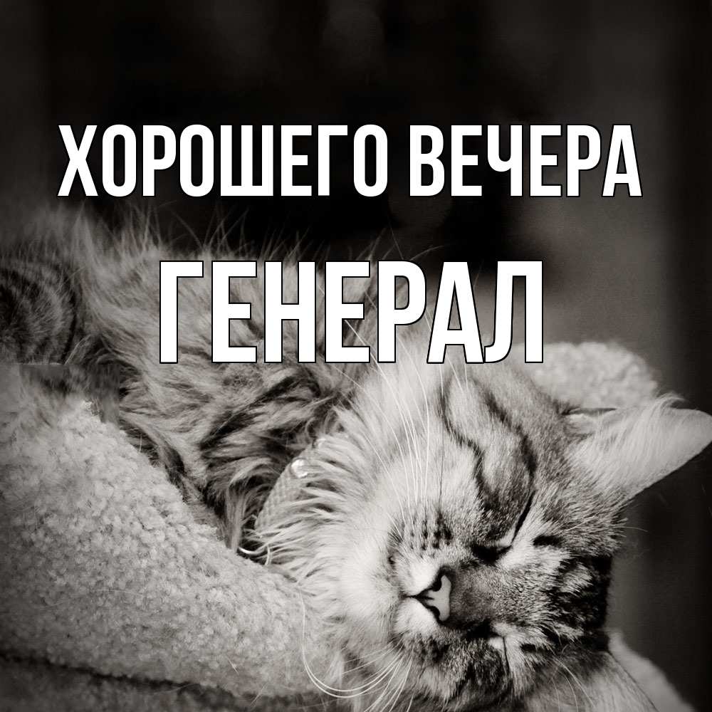 Открытка  для любимых и родных. генерал, Хорошего вечера  