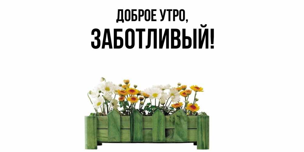 Открытка  для любимых и родных. заботливый, Доброе утро  