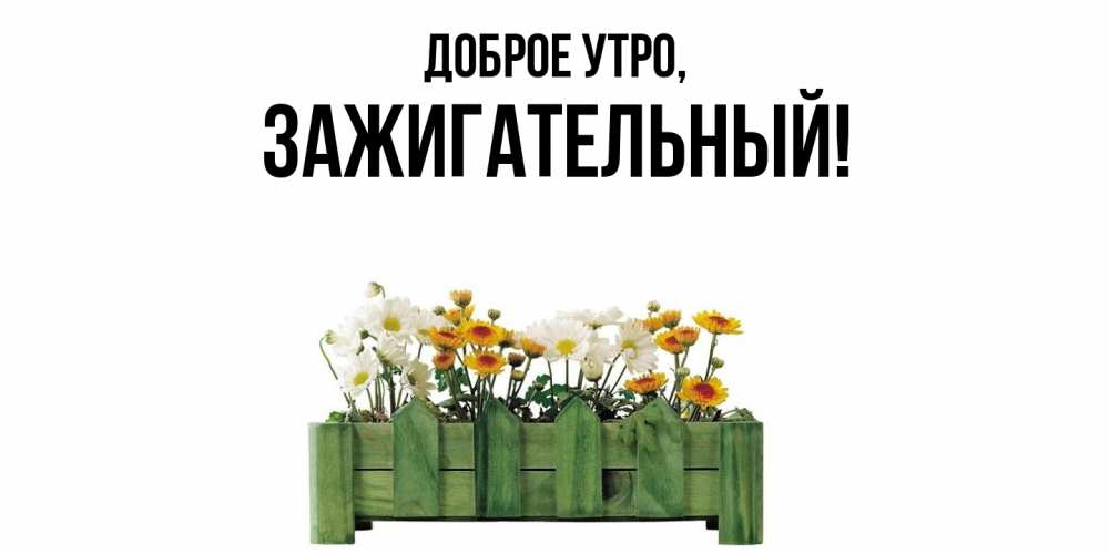 Открытка  для любимых и родных. зажигательный, Доброе утро  