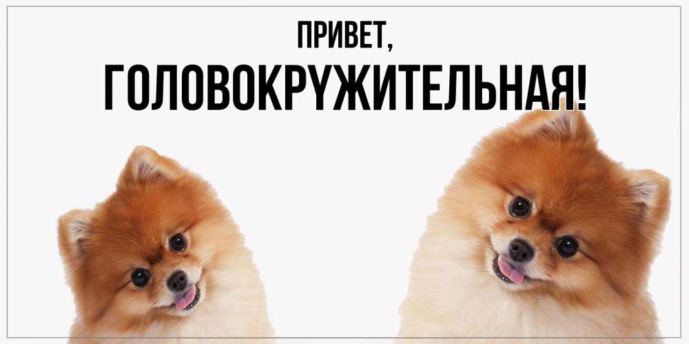 Открытка  для любимых и родных. головокpyжительная, Привет  